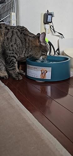 Amazon | Namsan 加熱ペットボウル 加熱 給水器 犬 猫 水飲み器 室内用